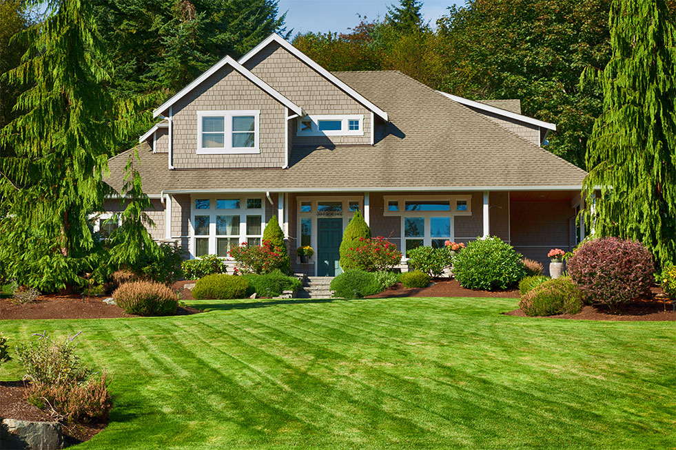 house with green lawn